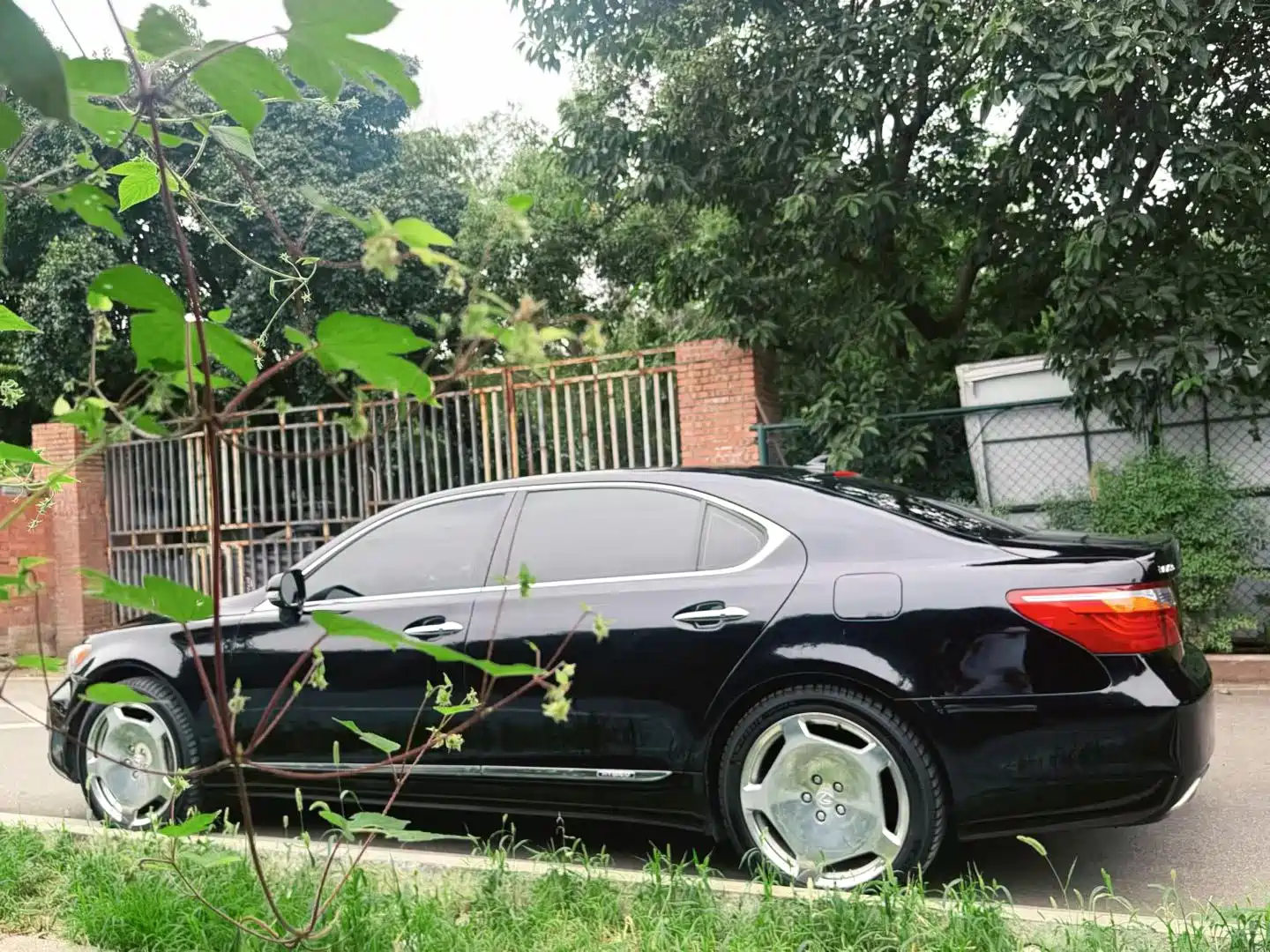 Фото 8 - Lexus LS