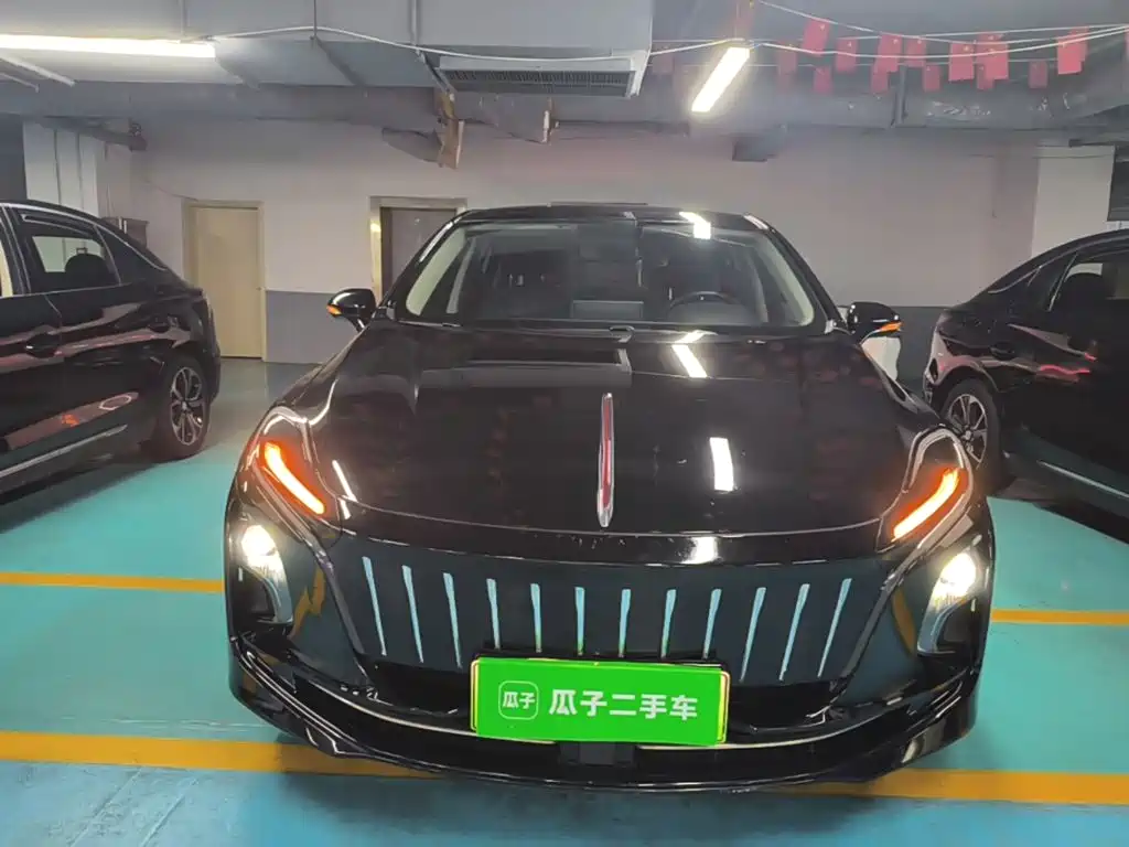 Фото 3 - Hongqi E-QM5