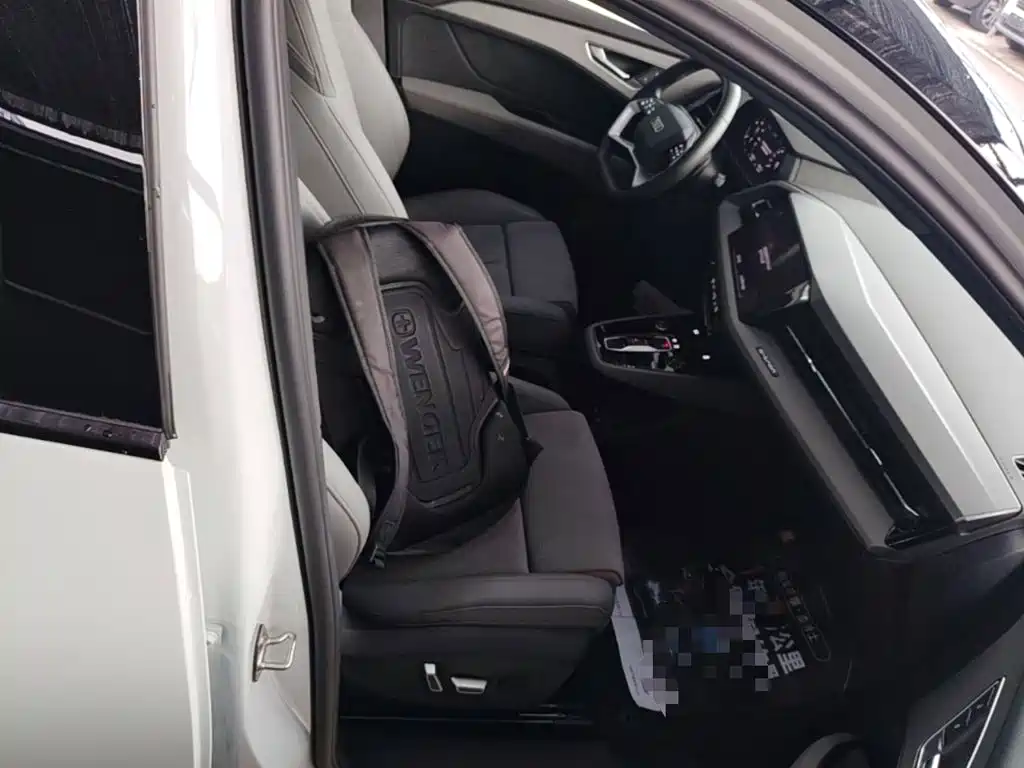 Audi Q5 e-tron 2024 2023 40 e-tron Starlight Edition Brocade Package