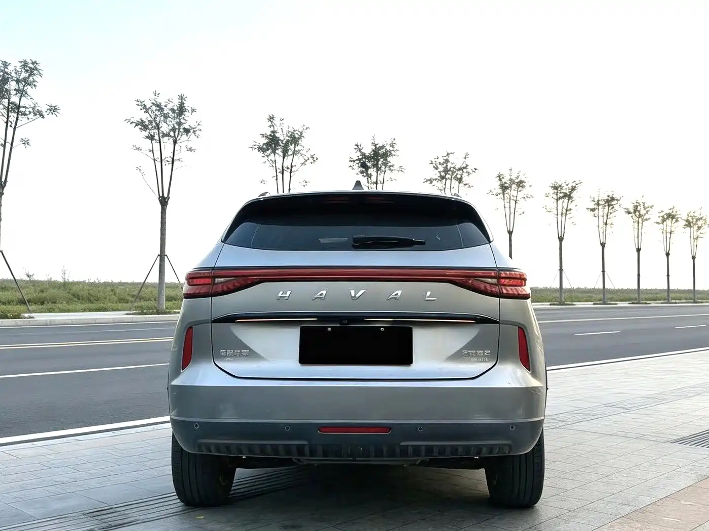 Haval H6 2021 Model 3rd Generation 2.0T Auto AWD Supreme+ фото 6