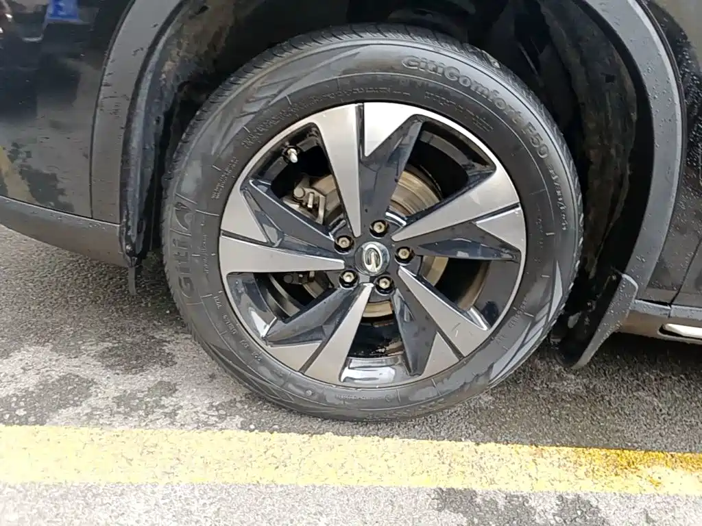 صورة 23 - GAC Trumpchi GS4