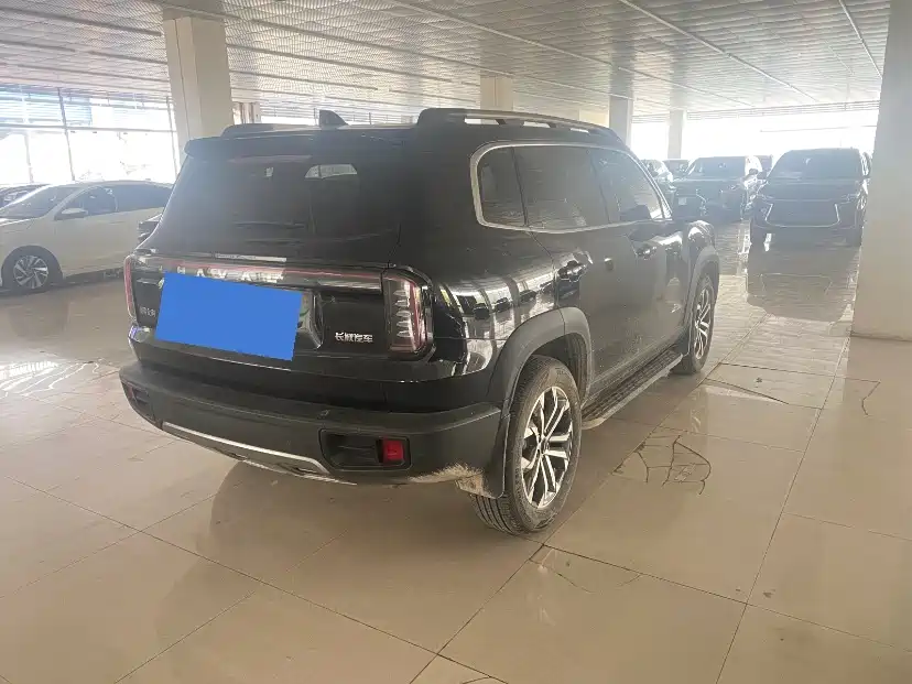 Haval Big Dog 2024 1.5T DCT Border Collie Edition фото 9