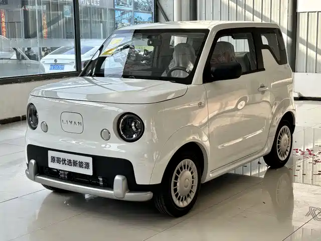  Ruilan Auto Ruilan Blue Elf 2025 Base Model