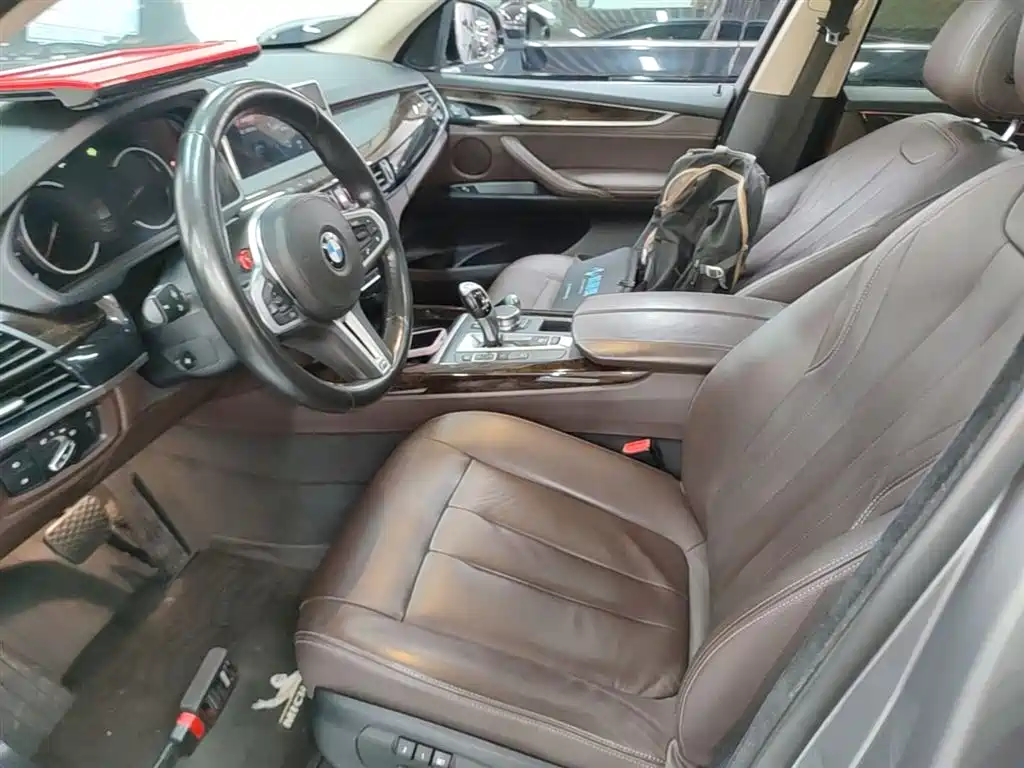 BMW X5 (Import) 2018 xDrive35i Elegant Model фото 15