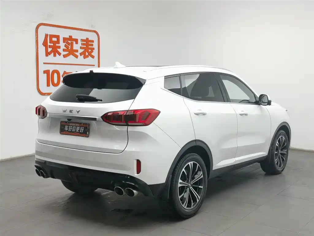 WEI PAI WEI BRAND VV6