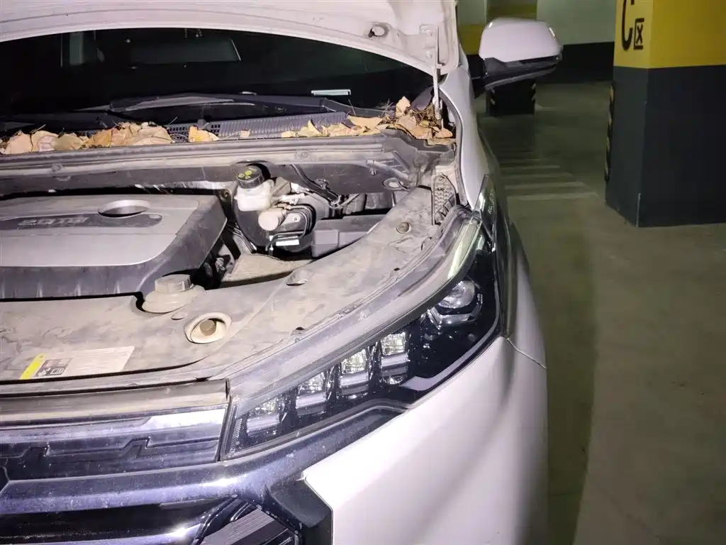 SAIC Maxus Maxus G20 2020 2.0T Gasoline Automatic Smart Premium фото 21