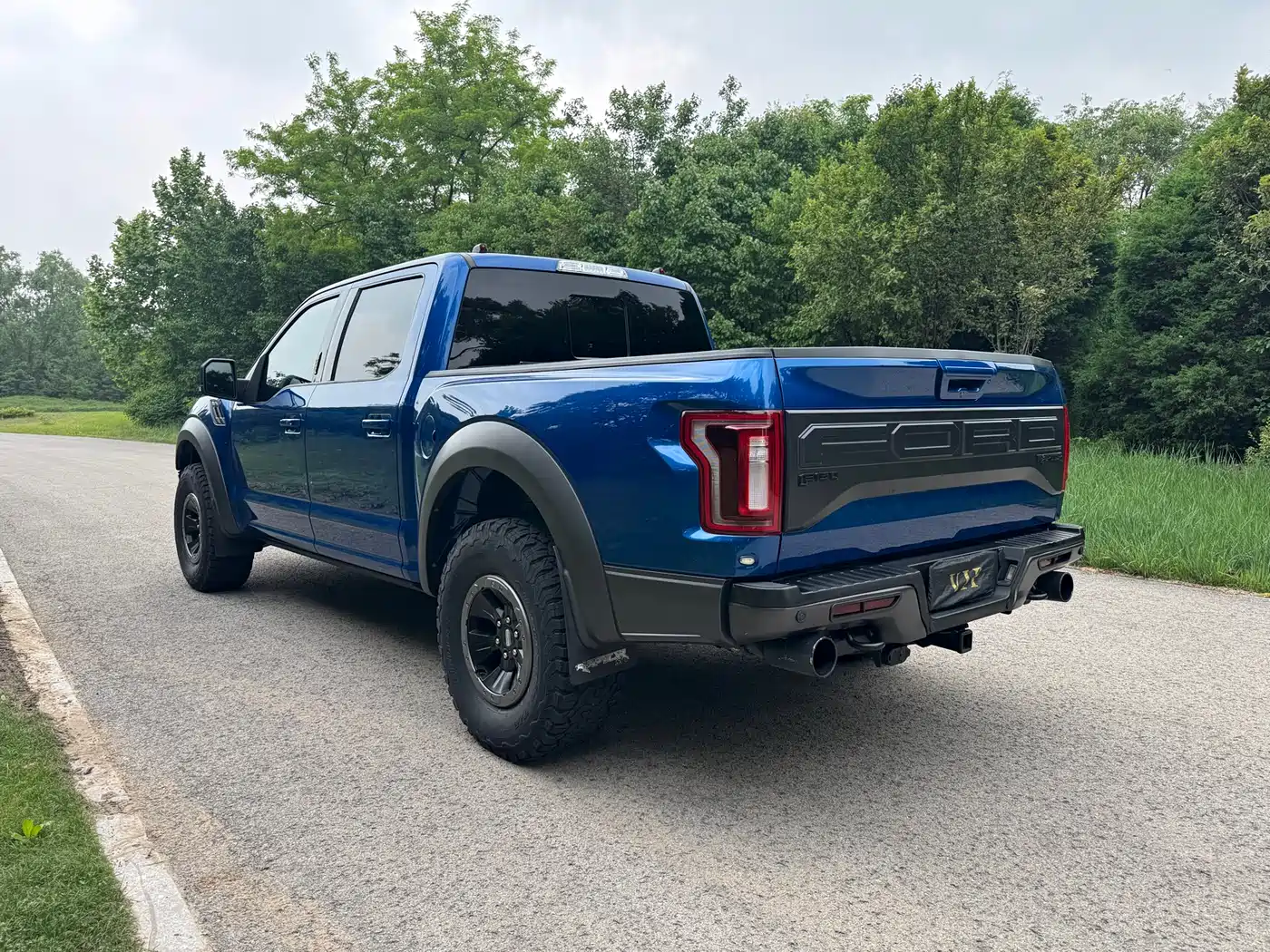 Ford F-150 Raptor 2017 2017 3.5T Raptor Performance Edition