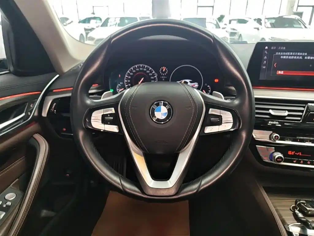 BMW 5 Series 2019 Facelift 530Li Leading Luxury Package фото 11