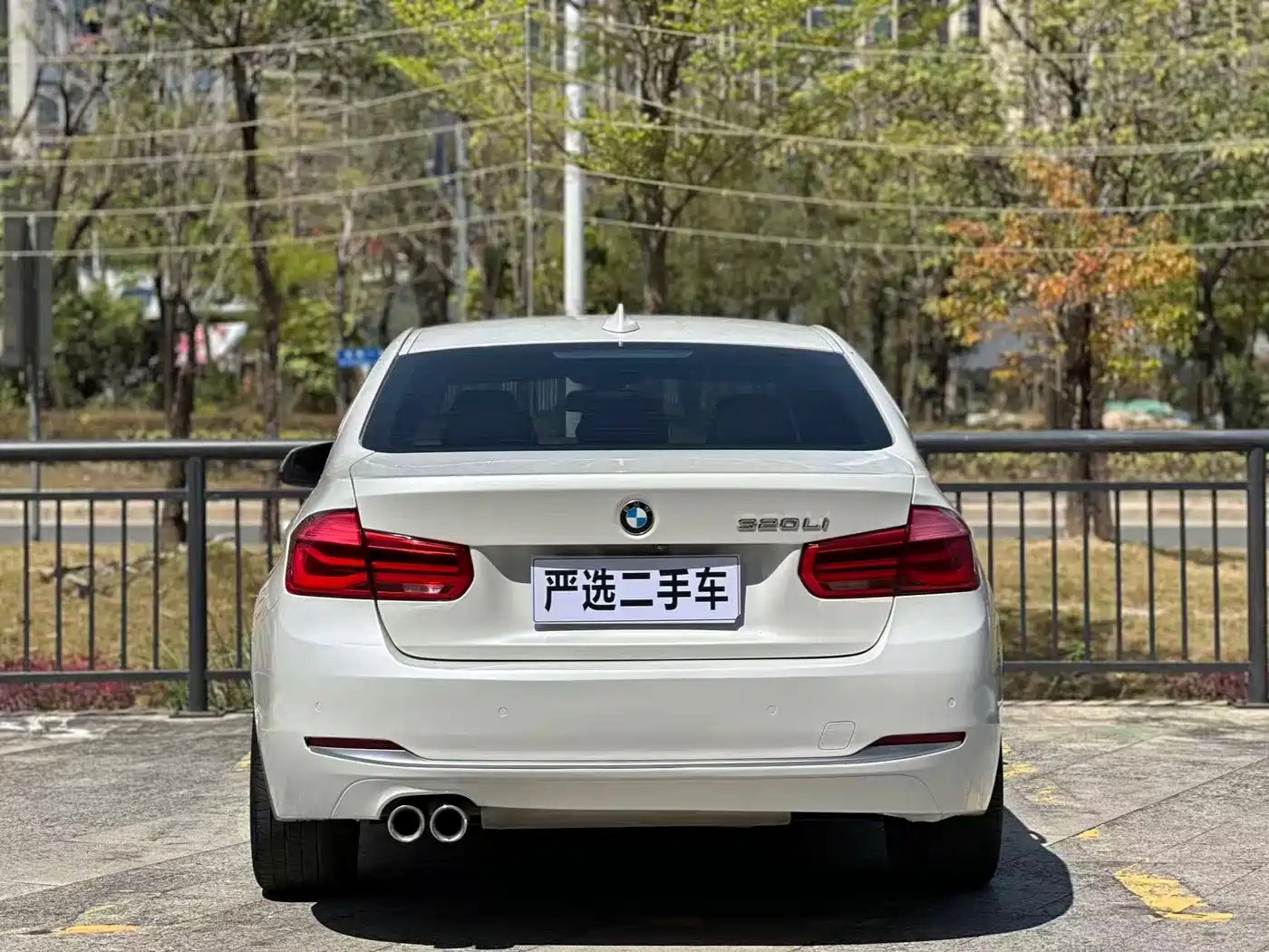 BMW 3 Series 2019 320Li Fashion Type фото 8