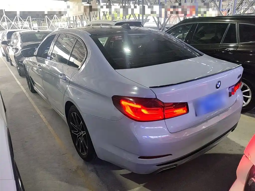BMW 5 Series 2018 530Li Leading Luxury Package фото 5