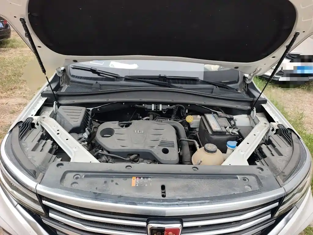 Roewe RX5 MAX 2019 2019 300TGI Automatic 4G Connected Luxury Edition