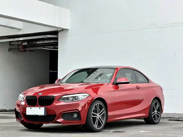 BMW BMW 2 Series (Import) 2019 225i Exclusive M Sport Package