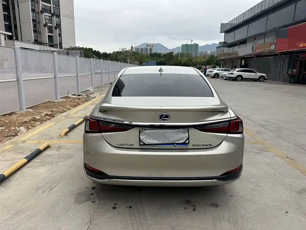 Lexus ES 2018 300h Excellence Edition China V фото 8