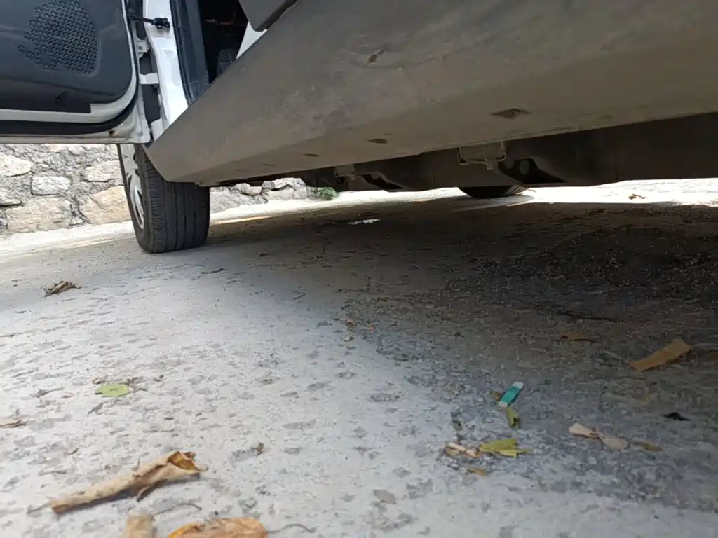 Nezha Auto Nezha N01 2020 2020 380v