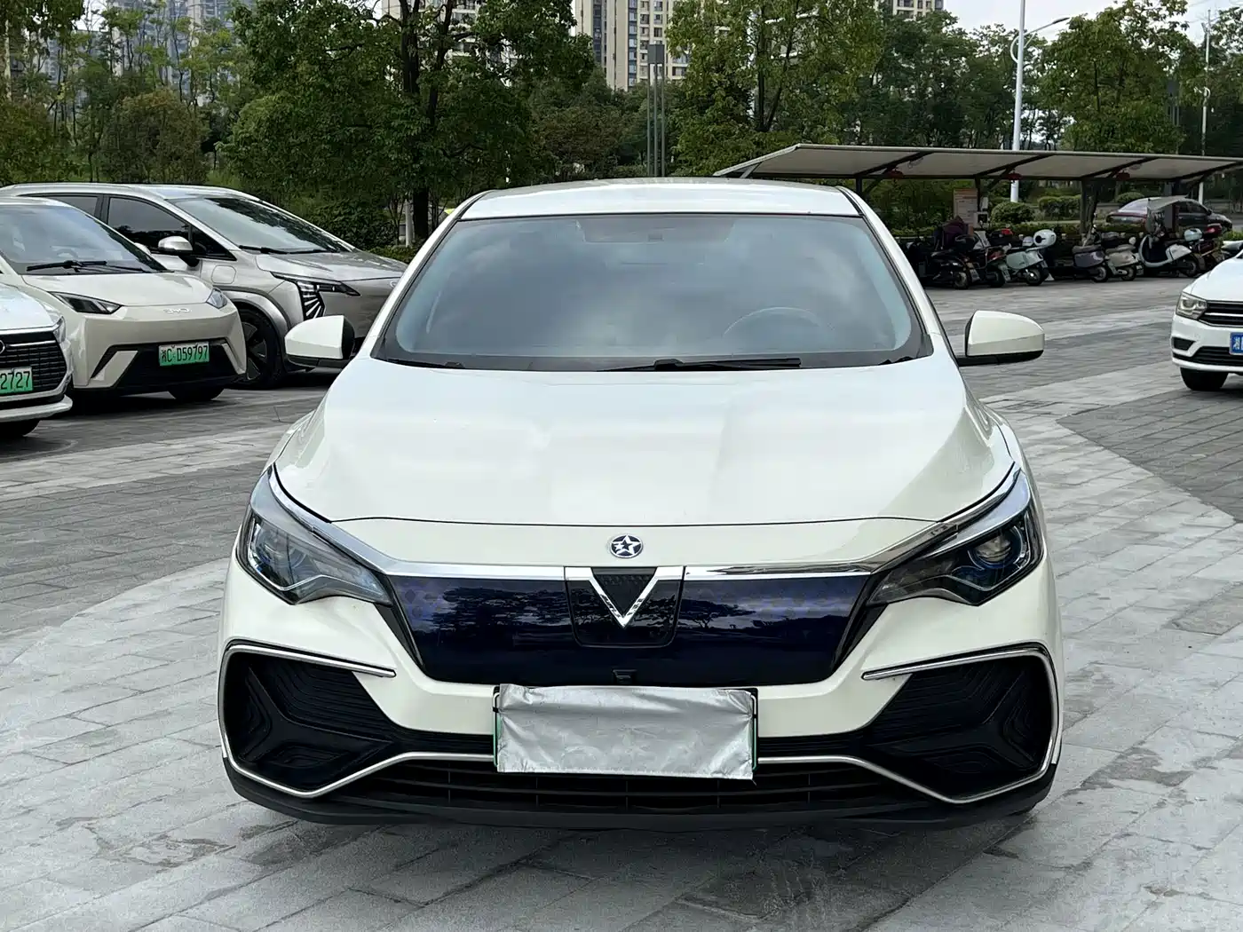 Venucia D60EV 2022 2022 Standard Range Smart Drive Edition