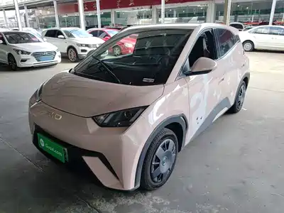 BYD Seagull