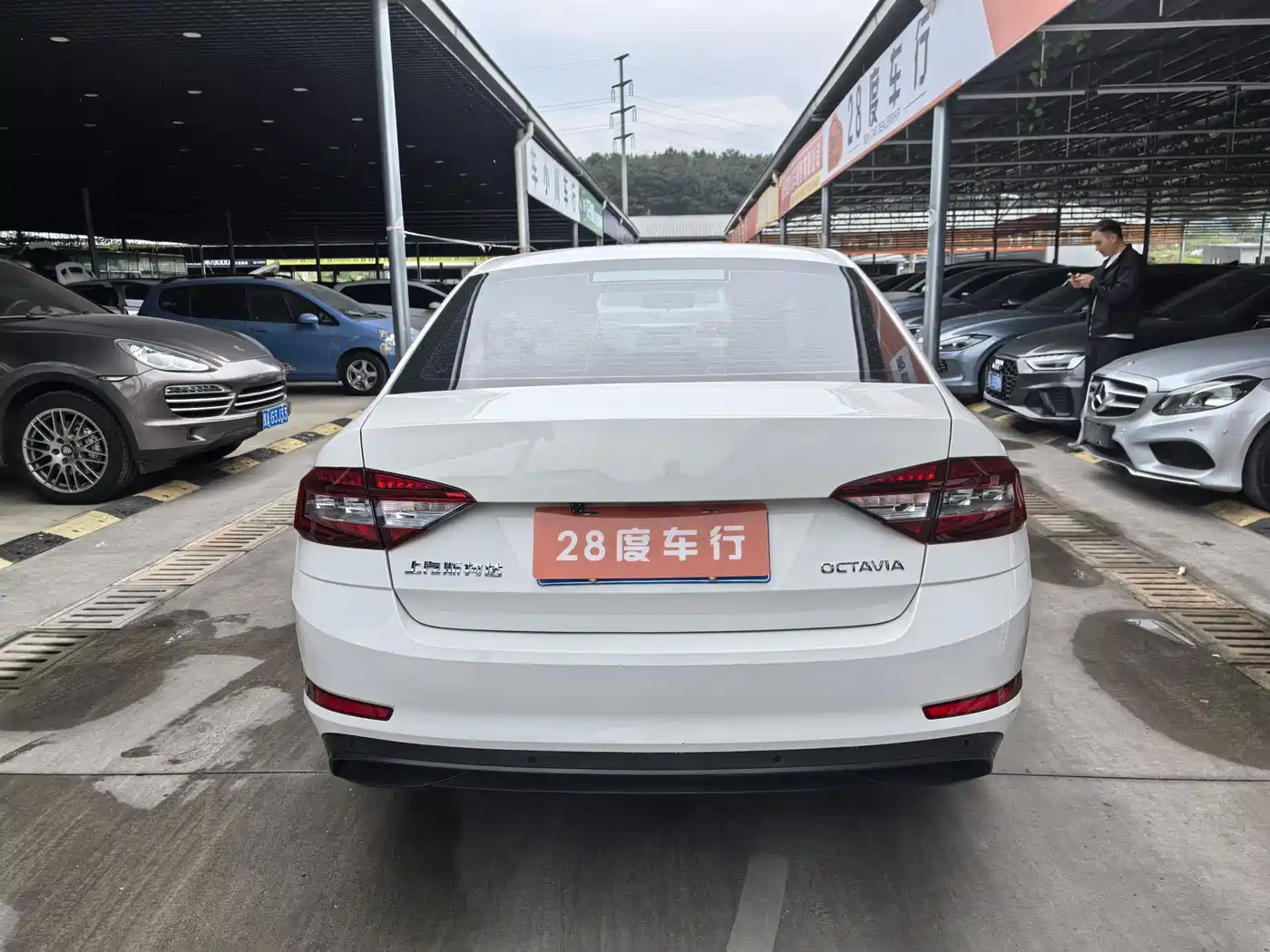 Škoda Octavia 2020 TSI230 DSG Smart Comfort Edition фото 8