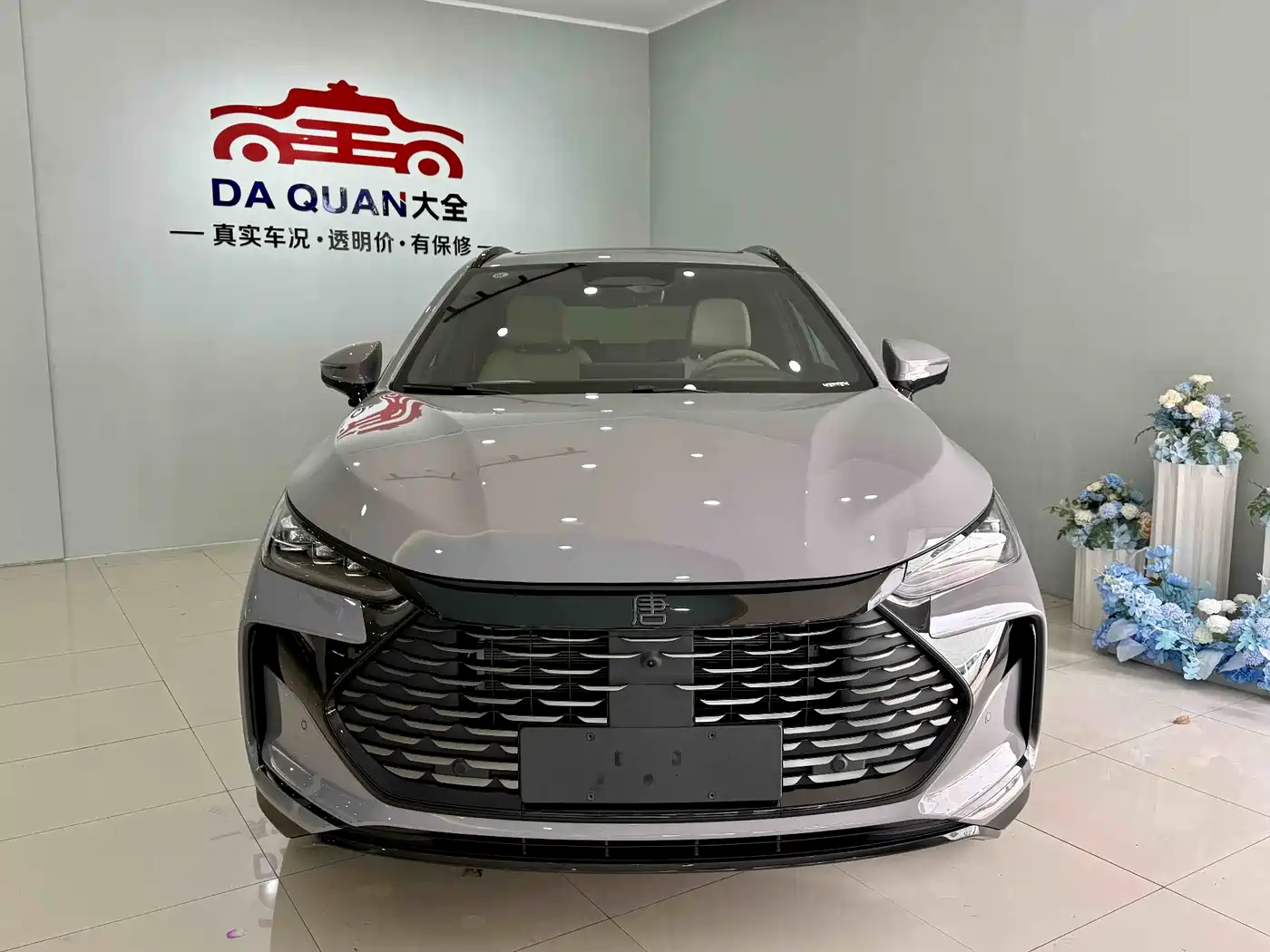 BYD Tang New Energy 2025 DM-i 115KM Flagship фото 3