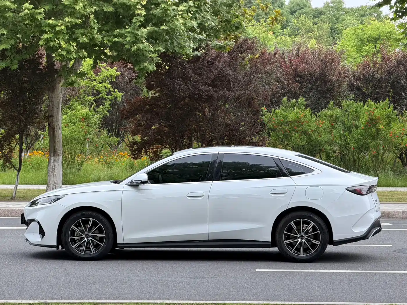 BYD Seal 06 New Energy 2024 DM-i 120KM Honor фото 11