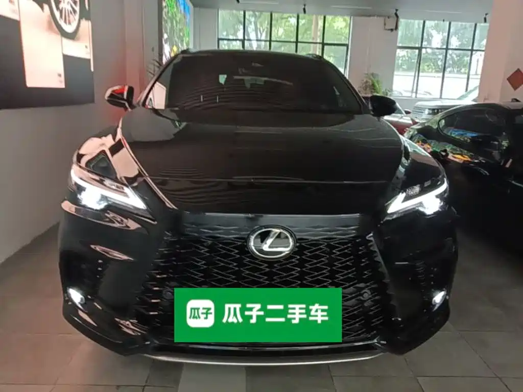 2025 Lexus RX