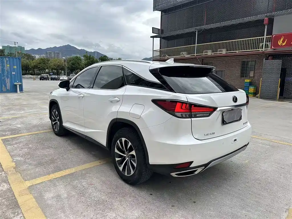 Lexus RX 2020 300 2WD Elite Edition China V фото 7