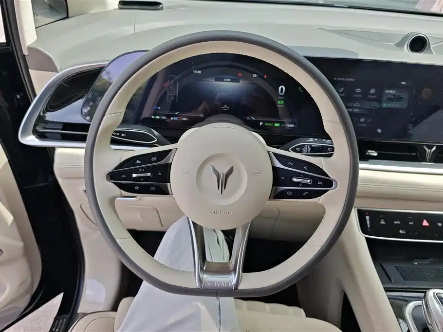 Voyah Auto Voyah Dreamer 2024 PHEV Extended Range Flagship Edition фото 15