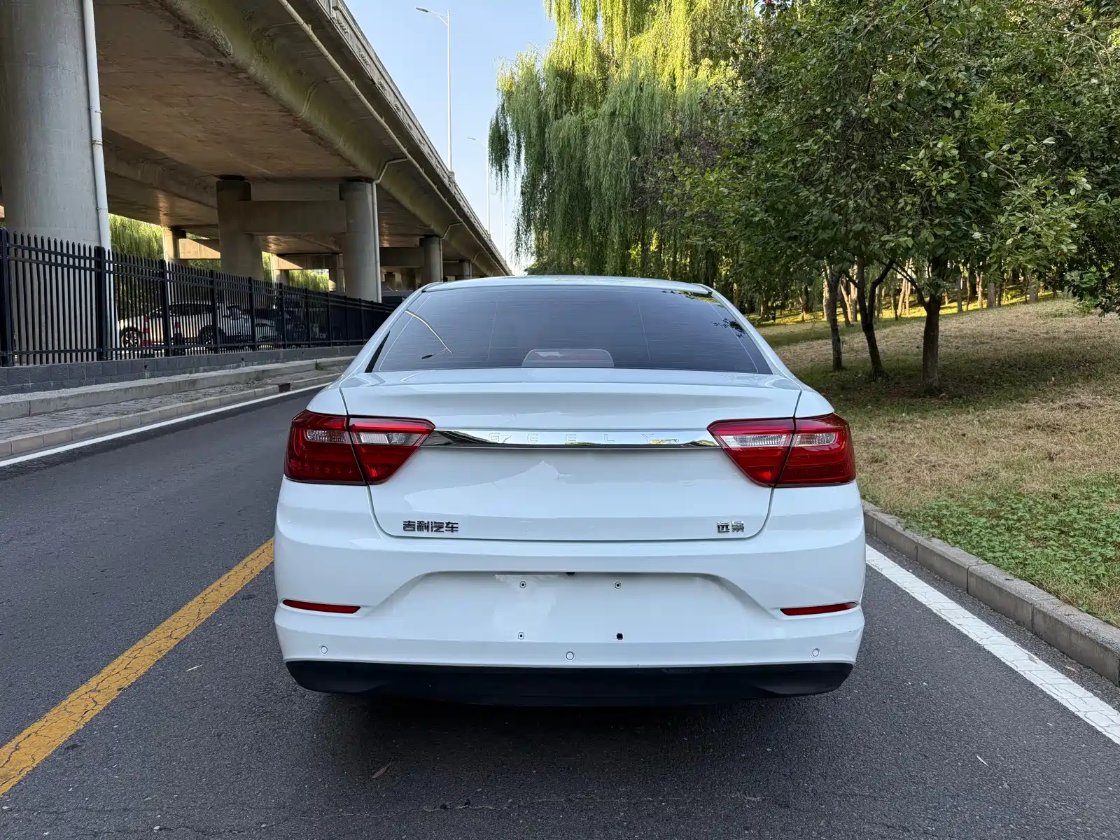 Фото 6 - Geely Vision