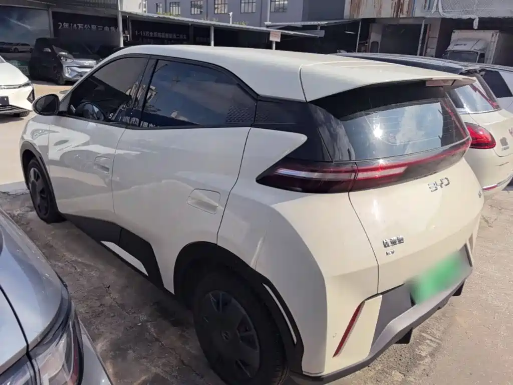 BYD Seagull 2025 2025 305km Vitality