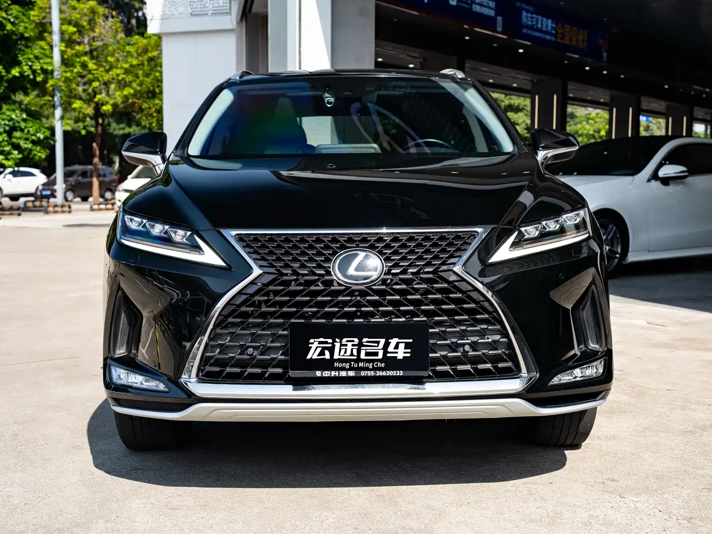 Lexus RX 2020 Facelift 300 AWD Elegance Edition фото 2