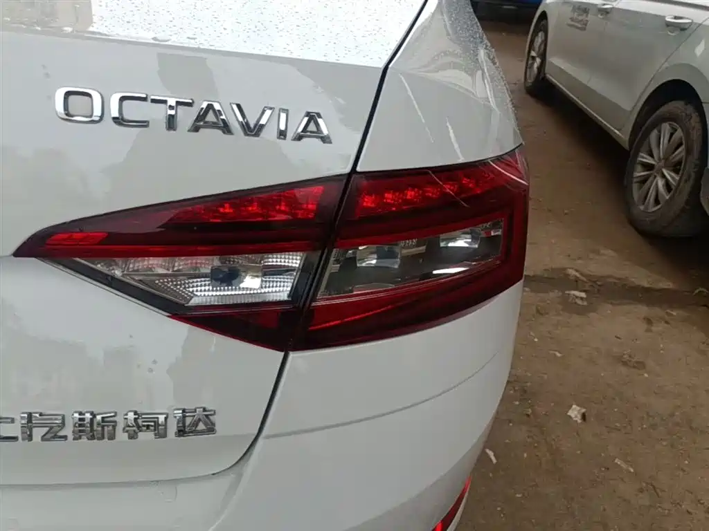 Škoda Octavia 2018 TSI230 DSG Luxury Edition фото 8