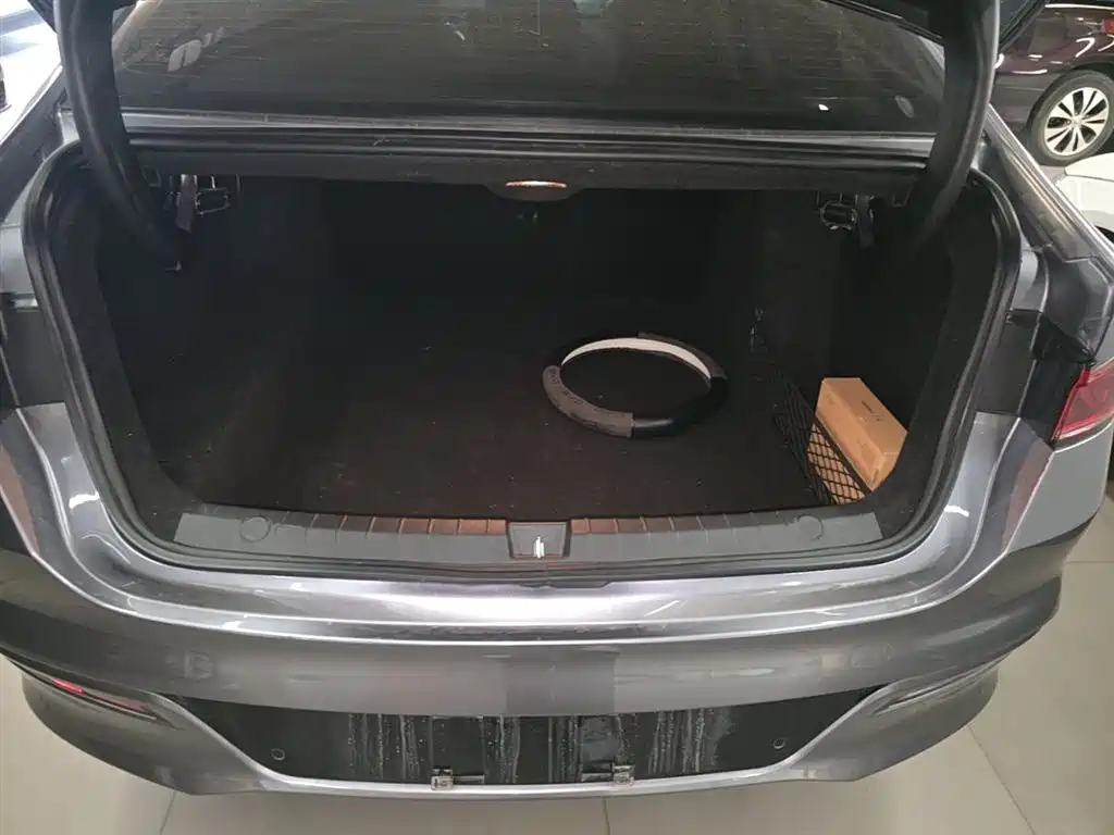 BYD Qin PLUS 2024 Glory Edition DM-i 55KM Leading фото 19