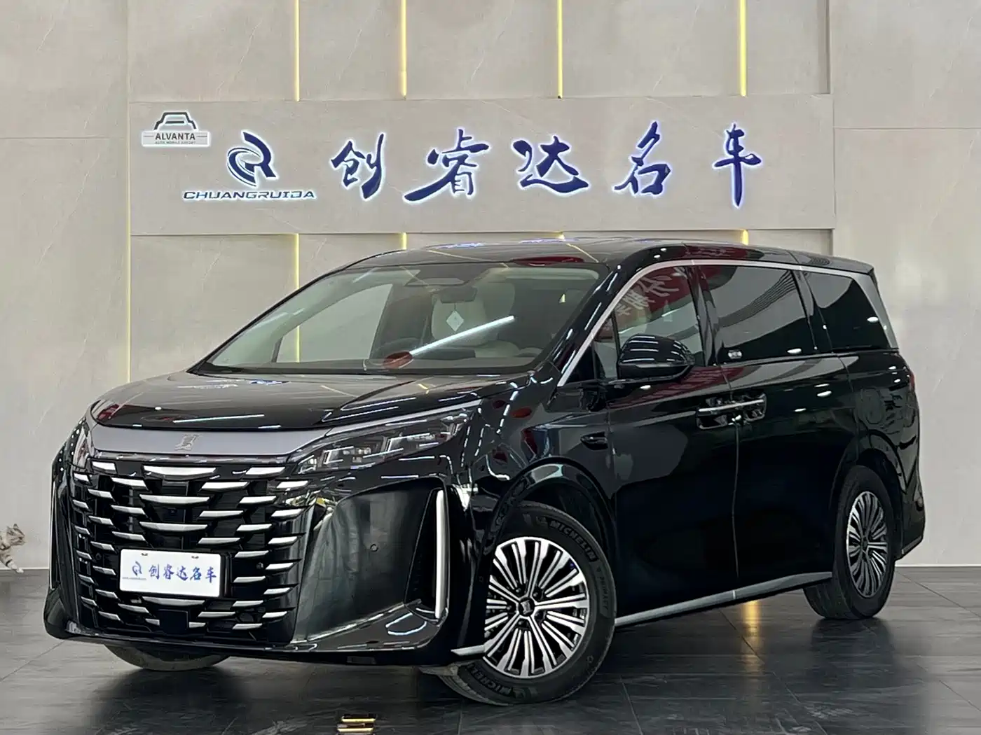 BYD Xia 2025 DM-i 1.5T 180km Surpass Edition