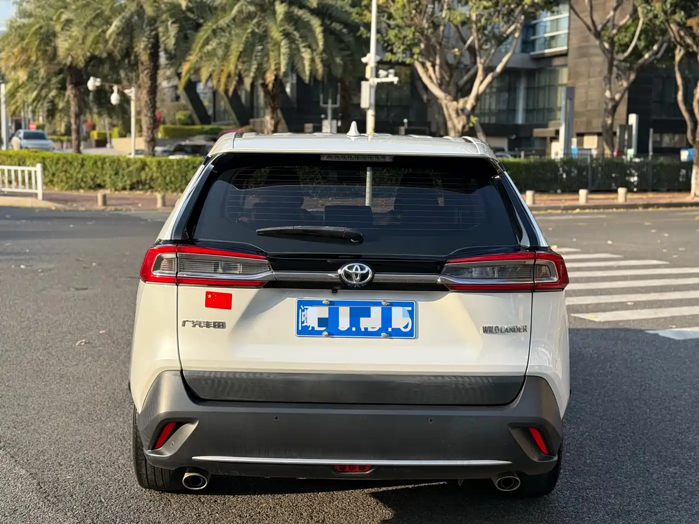 Toyota Wildlander 2021 2.0L CVT 2WD Luxury Edition фото 8