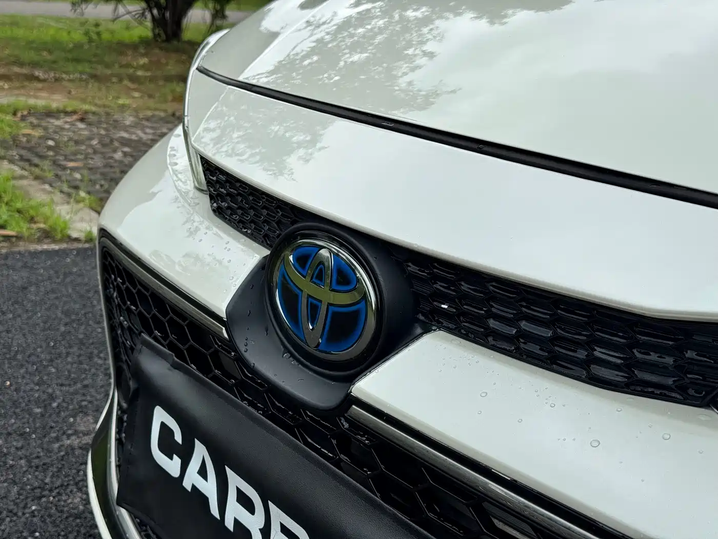 Toyota Levin 2019 Hybrid 1.8H E-CVT Luxury Edition China VI фото 20