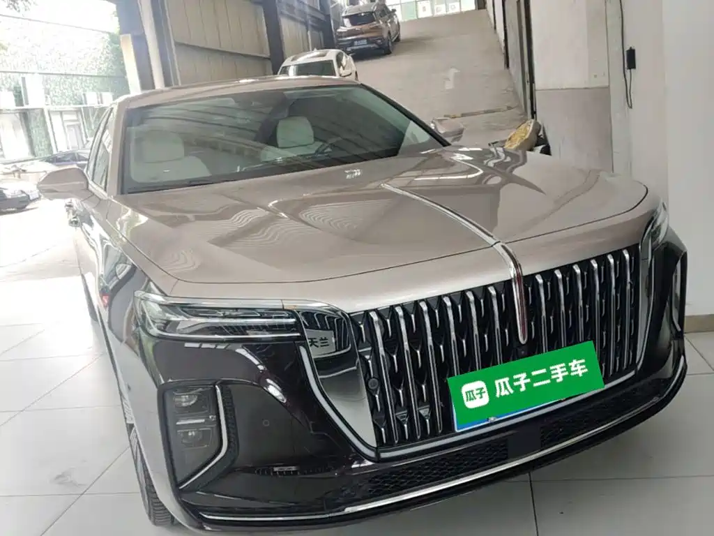 Photo 4 - Hongqi H9