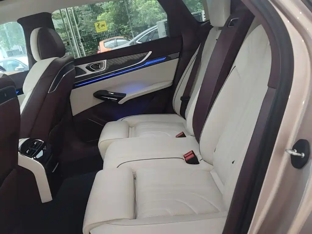 Photo 17 - Hongqi H9