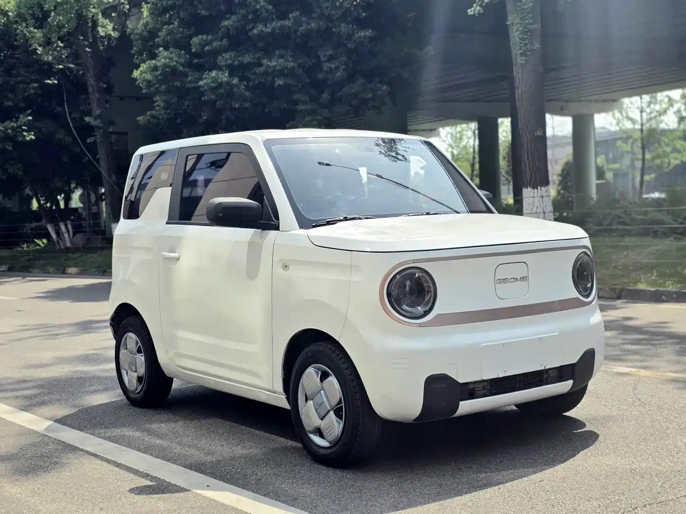 Geely Galaxy Panda 2023 Panda Mini 200km Endurance Bear фото 3