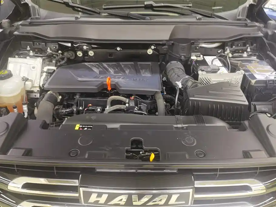 Haval Big Dog 2021 1.5T DCT 2WD Border Collie Edition фото 10