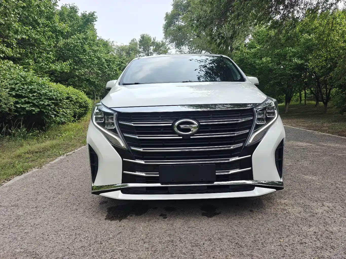 GAC Trumpchi Trumpchi M8 2024 Leadershow Series 390T Luxury Edition фото 2