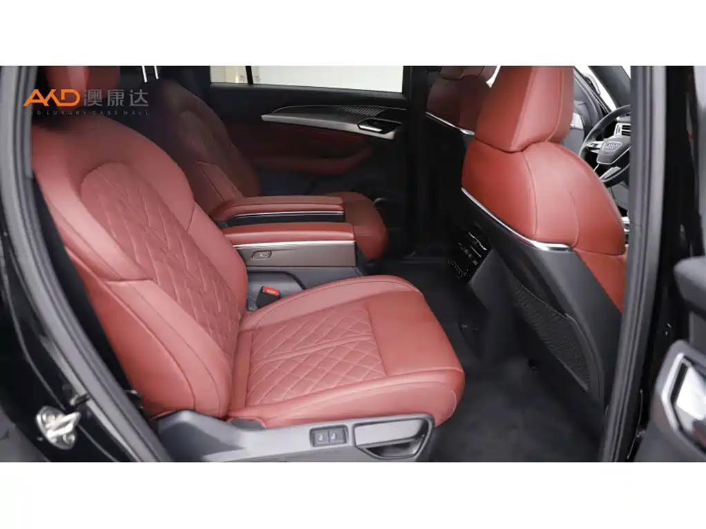 Audi Q6 2023 2024 40 TFSI quattro Guan Yun Flying Rider Package 6-seater