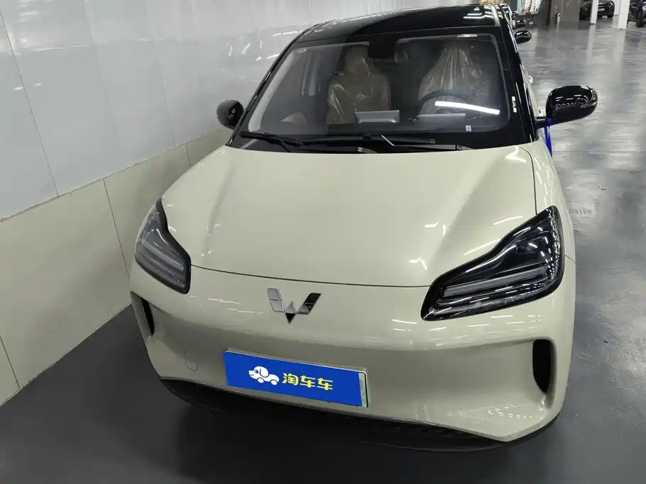 Wuling Motors Wuling Binguo PLUS 2026 2024 510km Range 5-seater