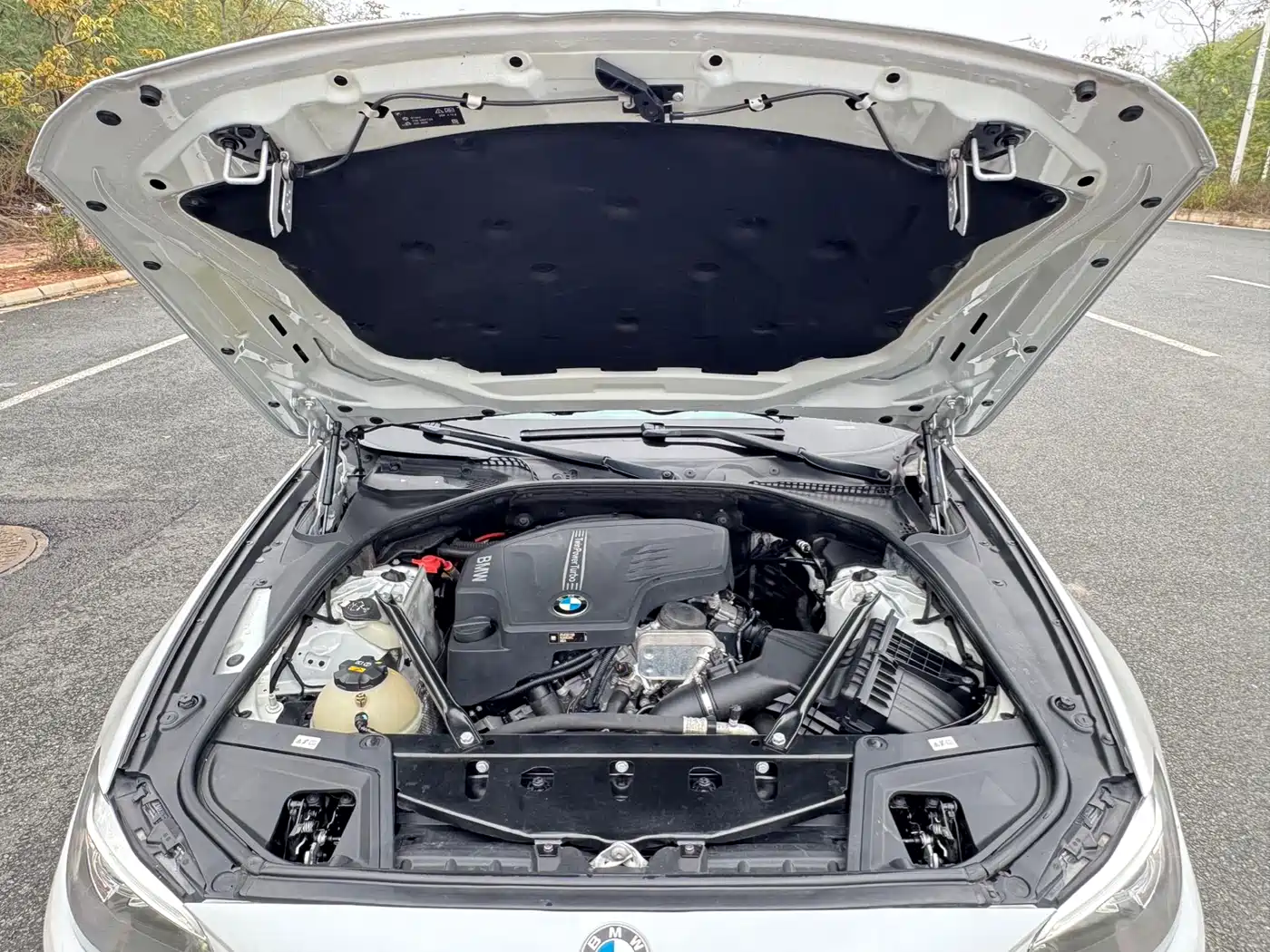 BMW 5 Series 2017 525Li Luxury Design Package фото 14