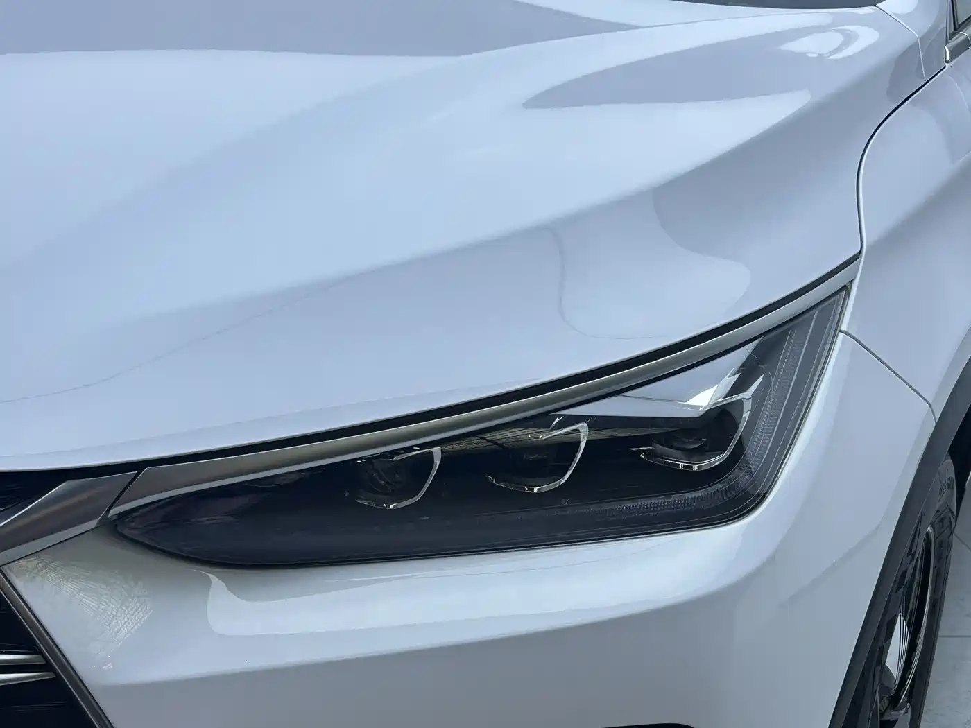 BYD Tang New Energy 2023 Model DM-i Champion Edition 112KM Premium фото 8