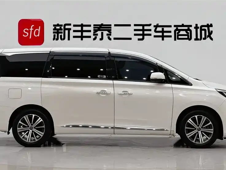 GAC Trumpchi Trumpchi M8 2018 320T Premium Edition фото 3