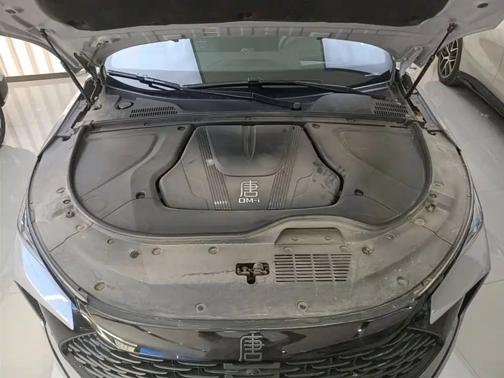 BYD Tang New Energy 2025 DM-i 115KM Cloud Chariot Flagship фото 20