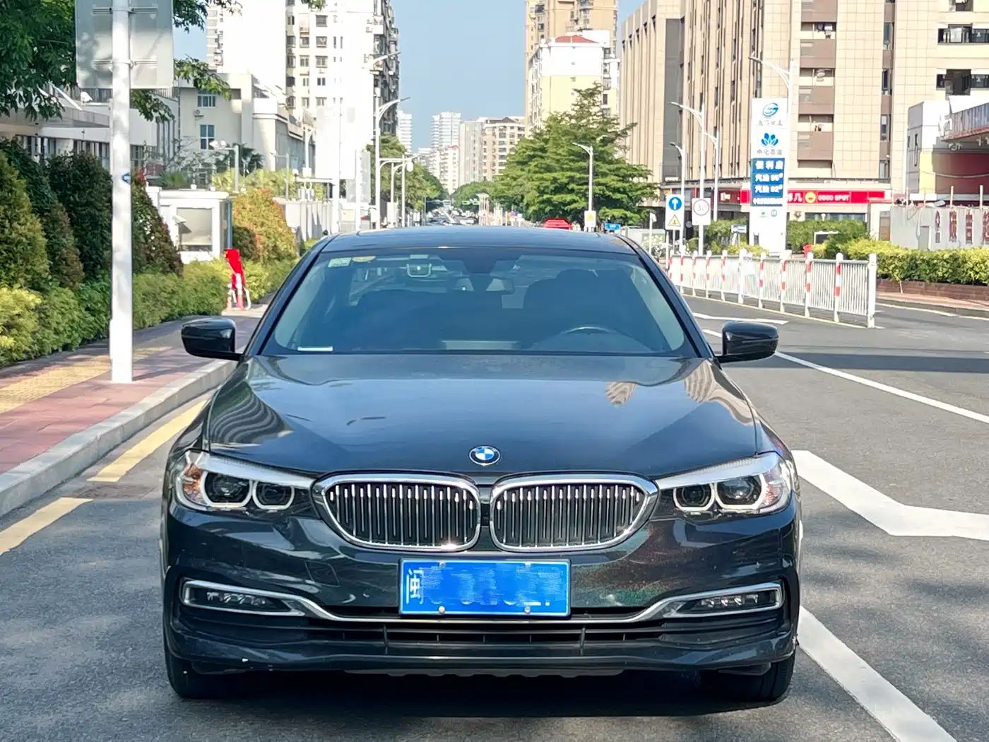 BMW 5 Series 2019 530Li Leading Luxury Package фото 2