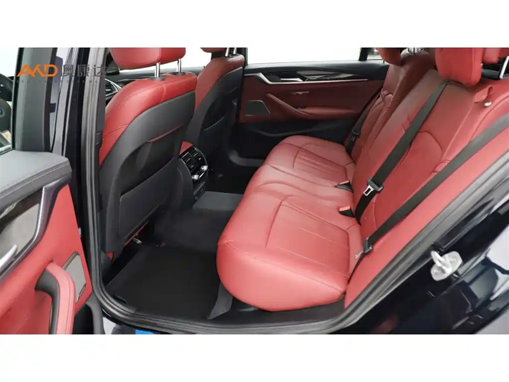 BMW 5 Series 2020 530Li Exclusive M Sport Package фото 7
