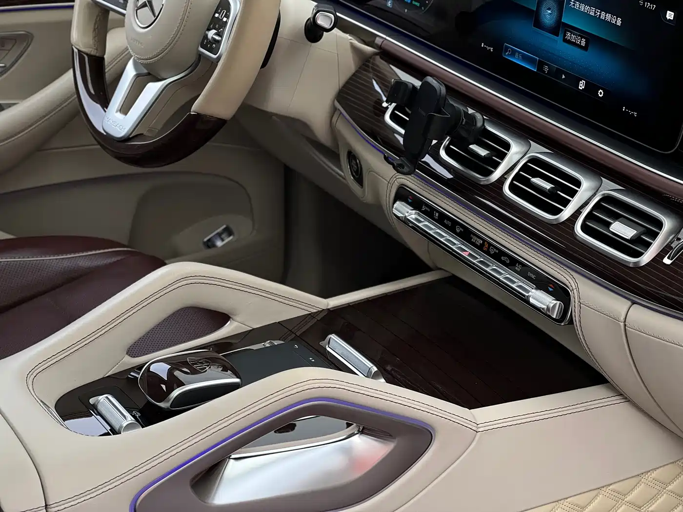 Mercedes-Benz Maybach GLS 2021 GLS 480 4MATIC фото 13