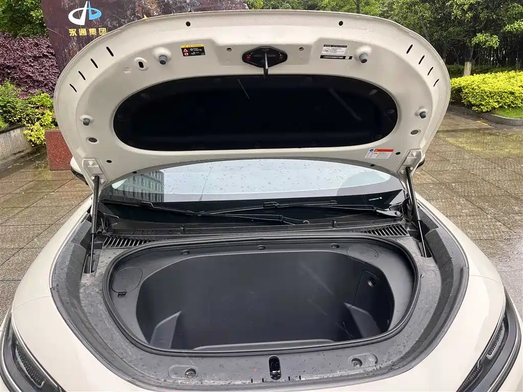 BYD Hai Shi 05 EV 2025 520KM Smart Navigation Edition фото 14