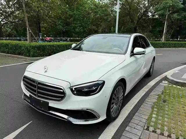 Mercedes-Benz E E 300 L, Стиль